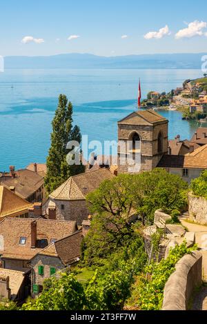 Schweiz, Kanton Waadt, Terrassen-Weinberg von Lavaux, das von der UNESCO zum Weltkulturerbe erklärt wurde, erstreckt sich von Montreux bis Lausanne über 32 km entlang des Genfer Sees und über 850 ha, dem Dorf Saint Saphorin Stockfoto