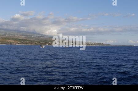 Saint Gilles auf der Insel La Réunion aus dem Indischen Ozean mit einem Buckelwal, der in der Ferne ins Meer bricht. Küstenlandschaft Stockfoto