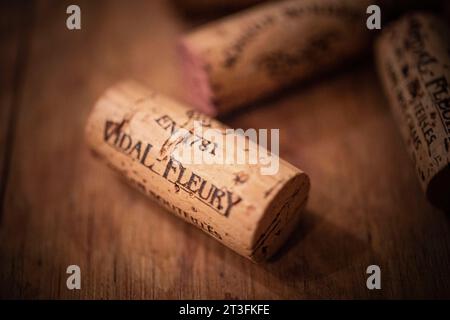 Frankreich, Rhône, Ampuis, Côtes du Rhone Wineyards, Cote Rotie, Maison Vidal-Fleury, Züchter und Händler Stockfoto