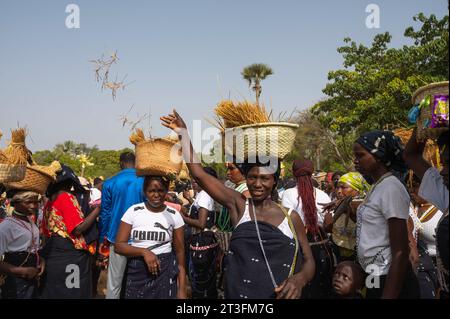 Senegal, Casamance, Bezirk Ziguinchor, Frauen der Diola-ethnischen Gruppe, die traditionelle Kleidung tragen und während einer Zeremonie Strohhalm werfen Stockfoto