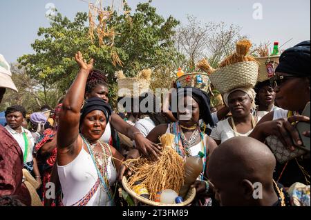 Senegal, Casamance, Bezirk Ziguinchor, Frauen der Diola-ethnischen Gruppe, die traditionelle Kleidung tragen und während einer Zeremonie Strohhalm werfen Stockfoto