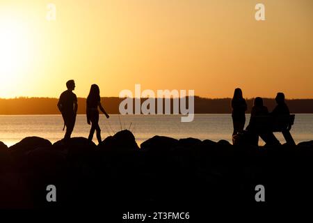 Kanada, Provinz Québec, Region Outaouais, Stadt Gatineau, Aylmer Sektor, Yachthafen bei Sonnenuntergang Stockfoto
