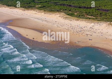 Frankreich, Charente Maritime, La Tremblade, der Strand Cote Sauvage im Sommer (aus der Vogelperspektive) Stockfoto