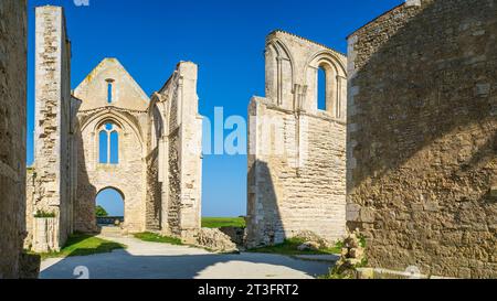 Frankreich, Charente Maritime, Ile de Re, La Flotte, Ruine der Abtei Notre-Dame-de-Re oder Chateliers Abbey, ehemalige Zisterzienserabtei, gegründet im 12. Jahrhundert Stockfoto