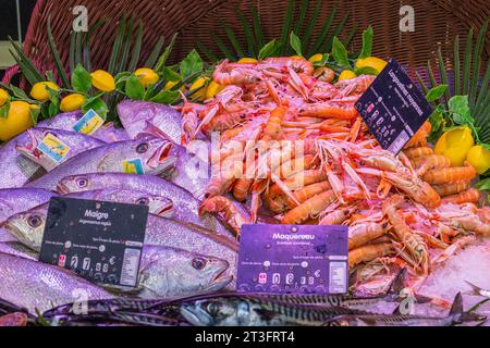 Frankreich, Charente Maritime, Ile de Re, La Flotte, der Tagesmarkt Stockfoto