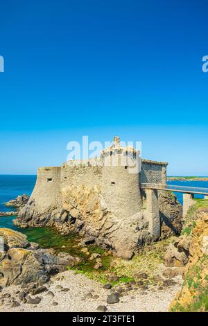 Frankreich, Vendée, Ile d’Yeu, die wilde Küste (Südküste), das alte Schloss, das im 14. Jahrhundert auf einem felsigen Sporn erbaut wurde Stockfoto