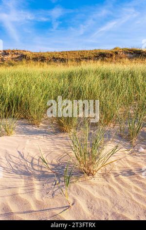 Frankreich, Vendée, Ile d'Yeu, Dünenküste (Nordostküste), Strand Marais Salé Stockfoto