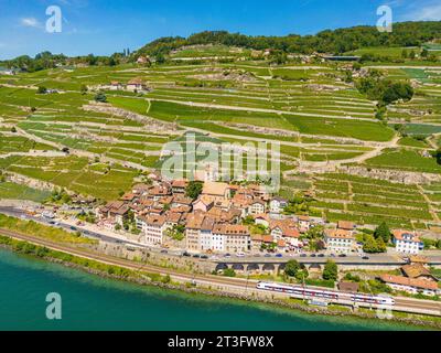 Schweiz, Kanton Waadt, terrassierter Weinberg von Lavaux, der von der UNESCO zum Weltkulturerbe erklärt wurde, erstreckt sich von Montreux bis Lausanne über 32 km entlang des Genfer Sees und über 850 ha, das Dorf Saint Saphorin (aus der Vogelperspektive) Stockfoto
