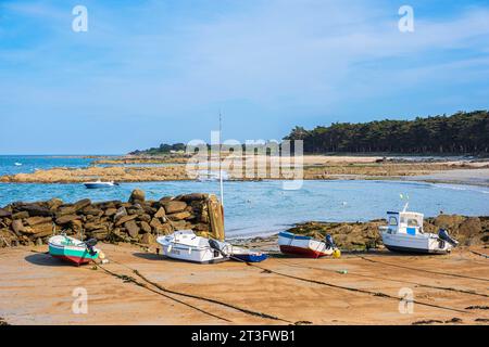 Frankreich, Vendée, Ile d'Yeu, die Dünenküste (Nordostküste), Boote schützen am Strand von Sapins Stockfoto