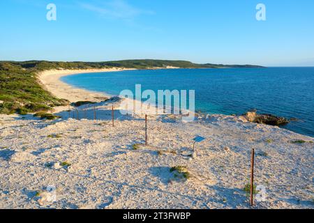 Blick auf die Foul Bay vom White Cliff Point in Hamelin Bay im späten Nachmittagslicht, einschließlich Sicherheitszaun auf Kalksteinklippen, Western Australia. Stockfoto