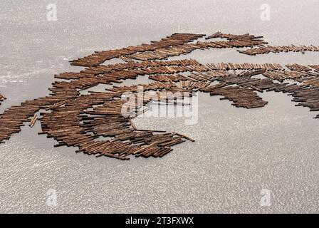 Gabun, Libreville, estuaire District, Holzindustrie, Floating Holz, Protokolle (Luftaufnahme) Stockfoto