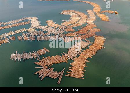 Gabun, Libreville, estuaire District, Holzindustrie, Floating Holz, Protokolle (Luftaufnahme) Stockfoto