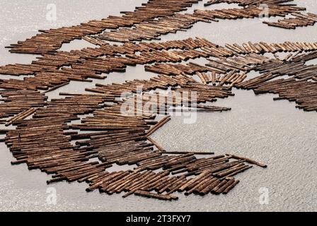 Gabun, Libreville, estuaire District, Holzindustrie, Floating Holz, Protokolle (Luftaufnahme) Stockfoto