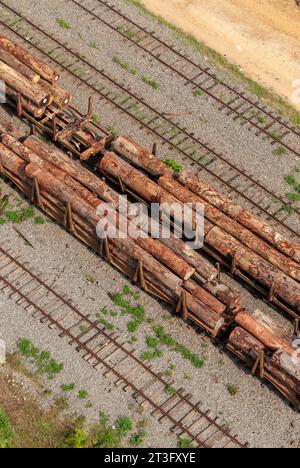 Gabun, Libreville, Estuaire District, Rangierbahnhof, Baumstämme, Holzindustrie, Zug, Transgabonais (Luftaufnahme) Stockfoto