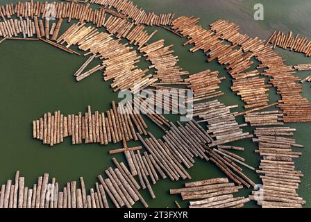 Gabun, Libreville, estuaire District, Holzindustrie, Floating Holz, Protokolle (Luftaufnahme) Stockfoto