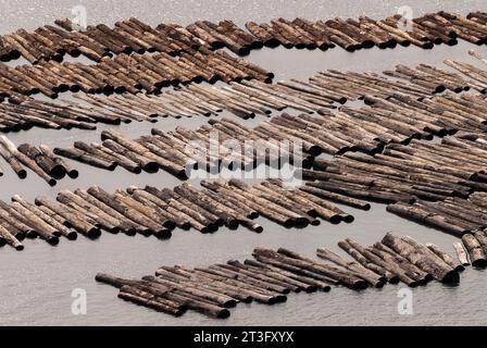 Gabun, Libreville, estuaire District, Holzindustrie, Floating Holz, Protokolle (Luftaufnahme) Stockfoto