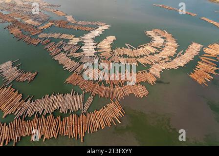 Gabun, Libreville, estuaire District, Holzindustrie, Floating Holz, Protokolle (Luftaufnahme) Stockfoto