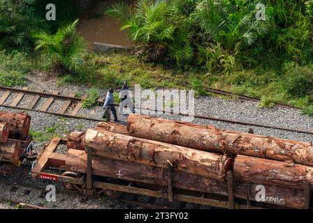 Gabun, Libreville, Estuaire District, Rangierbahnhof, Baumstämme, Holzindustrie, Zug, Transgabonais (Luftaufnahme) Stockfoto