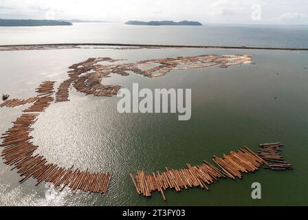 Gabun, Libreville, estuaire District, Holzindustrie, Floating Holz, Protokolle (Luftaufnahme) Stockfoto