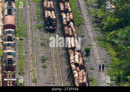 Gabun, Libreville, Estuaire District, Rangierbahnhof, Baumstämme, Holzindustrie, Zug, Transgabonais (Luftaufnahme) Stockfoto