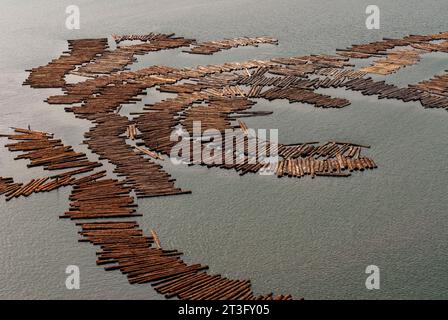 Gabun, Libreville, estuaire District, Holzindustrie, Floating Holz, Protokolle (Luftaufnahme) Stockfoto