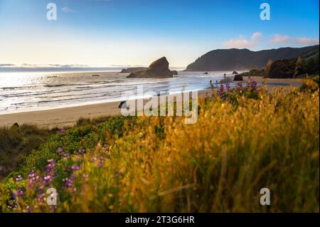 Sonnenuntergang am Meyers Creek Beach, Oregon Stockfoto