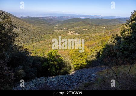Grüner Bergwald, Panoramablick auf einem blauen Himmel mit Morgenwolken auf dem Gipfel des Montseny, Katalonien Stockfoto