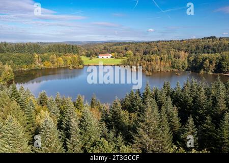 Frankreich, Haute Saône, Mélisey, tausend Teiche, Marceline-Teich mit Drohne (Luftaufnahme) Stockfoto