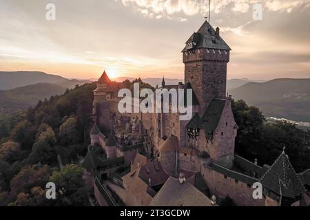 Frankreich, Bas Rhin, Alsace Wein Straße, Orschwiller, Haut Koenigsbourg Schloss am Fuße der Vogesen und mit Blick auf die Ebene des Elsass, mittelalterliche Burg aus dem 12. Jahrhundert, Es ist eingestuft als historisches Denkmal (Luftbild) Stockfoto