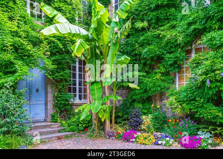 Frankreich, Manche, Cotentin, Coutances, Quesnel Moriniere Museum im Jardin des Plantes Stockfoto