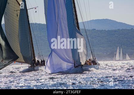 Frankreich, Var, Saint Tropez, Voiles de Saint Tropez 2017, Manöver mitten im Rennen der klassischen Yachten: MARISKA (D1) ist dicht hinter ihrem Konkurrenten auf der Startlinie Stockfoto