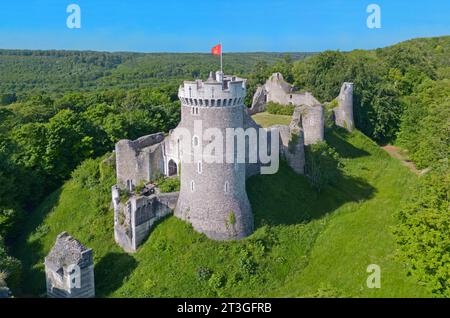 Frankreich, seine-Maritime, Moulineaux, das sogenannte Schloss von Robert le Diable und der Wald von La Londe Stockfoto