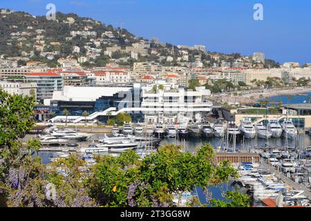 Frankreich, Alpes Maritimes, Cannes, Blick von Le Suquet auf den alten Hafen, seine vertäuten Boote, das Palais des Festivals et des Congres Stockfoto