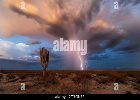 Wolken-zu-Boden-Blitze treffen während eines Monsungewitters in der Sonora-Wüste bei Aguila, Arizona, auf die Harquahala Mountains Stockfoto