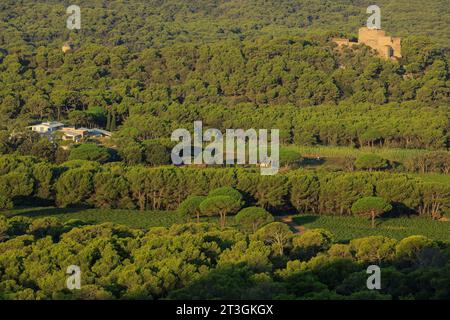 Frankreich, Var, Iles d'Hyeres, Port Cros Nationalpark, Porquerolles Insel, Carmignac Foundation und Courtade Anwesen, im Hintergrund rechts Fort de Sainte Agathe, links Moulin du Bonheur Stockfoto