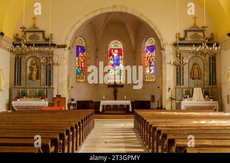 Frankreich, Meurthe et Moselle, Pays du Saintois (Region der Saintois), Ceintrey, Kirche Saint Remy, erbaut im 18. Jahrhundert, Buntglasfenster des Chors, die von links nach rechts den Heiligen Karl Borromée darstellen, der die Gemeinschaft mit den Menschen, die an der Pest in Mailand leiden, Jesus Christus, der das Zeichen des Segens macht, der Heilige Remy und die Taufe von König Clovis, Altäre, die dem Heiligen Nikolaus, dem schutzheiligen der Bewohner der Lothringischen Region auf der linken Seite und der Jungfrau Maria auf der rechten Seite geweiht sind Stockfoto