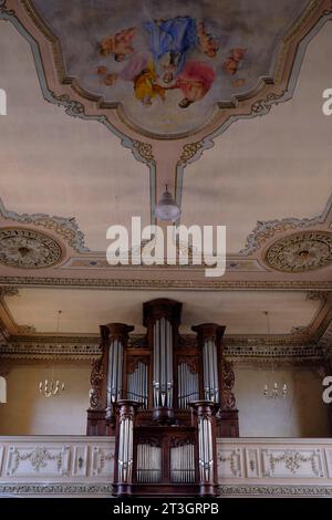 Frankreich, Territoire de Belfort, Phaffans, Kirche Notre Dame de l Assomption aus dem 18. Jahrhundert, Verschneider-Orgel aus dem Jahr 1858, Decke, Fresko Stockfoto