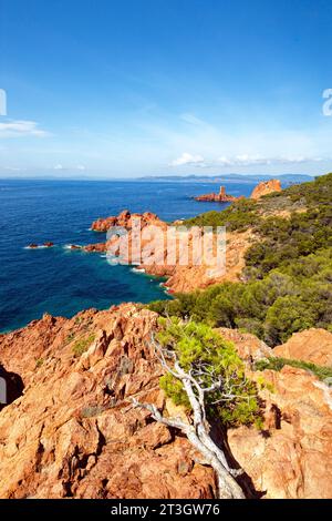 Frankreich, Var, Saint-Raphael, Corniche d'Or oder Corniche de l'Esterel, Wanderung zum Kap Dramont, Blick über die Ile d'Or und den Sarazenenturm Stockfoto