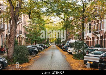 Van Breestraat, eine grüne Einbahnstraße in Amsterdam, Niederlande, an einem Herbsttag Stockfoto