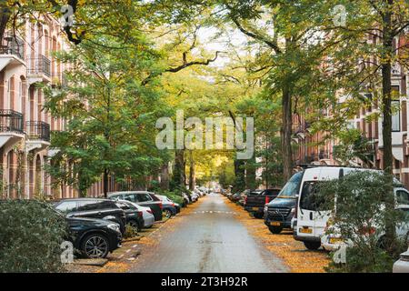 Van Breestraat, eine grüne Einbahnstraße in Amsterdam, Niederlande, an einem Herbsttag Stockfoto