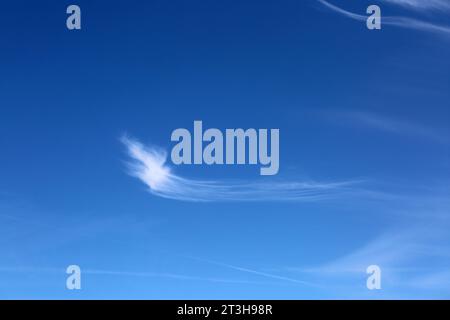 Cirrus Clouds High Altitude Epsom Downs Rennbahn Surrey England Stockfoto