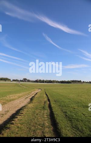 Cirrus Clouds High Altitude Clouds auf der Rennstrecke Grass Epsom Downs Surrey England Stockfoto