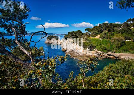 Eine Reihe von Landschaften der mittelmeerküste in der Gemeinde Toulon (Var) in Südfrankreich. - Lieu préservé et caché - erhalten und versteckt Stockfoto