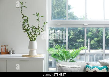 Vase mit grünen Bambusstielen auf dem Tisch in der Nähe des Fensters Stockfoto