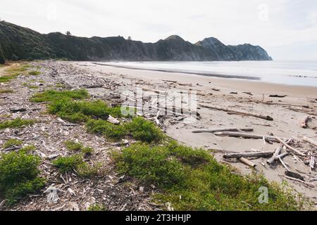 Ein verlassener Tolaga Bay Beach an der Ostküste der Nordinsel Neuseelands Stockfoto