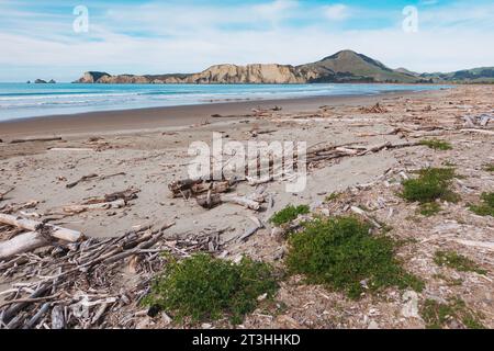 Ein verlassener Tolaga Bay Beach an der Ostküste der Nordinsel Neuseelands Stockfoto