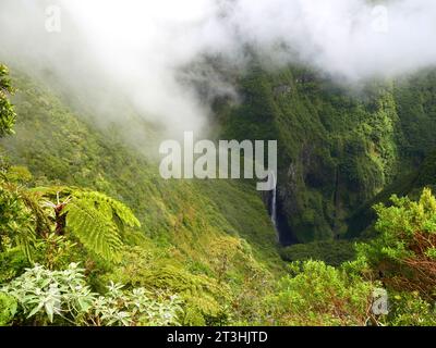 Trou de Fer, ein wunderschöner Wasserfall inmitten eines primären Regenwaldes auf der Insel Reunion. maskarene Insel. Tropische Landschaft mit Wolken Stockfoto