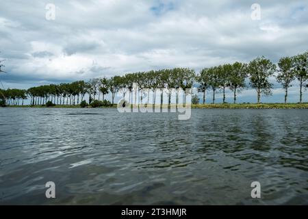 Malerischer Blick auf einen See mit einer Reihe von grünen Bäumen und einem Himmel voller Wolken, der die Schönheit der Natur zeigt Stockfoto