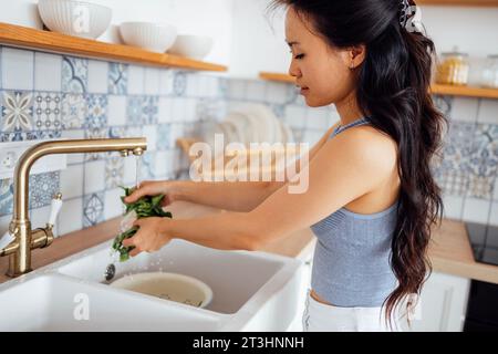 Nahaufnahme von weiblichen Händen, die frischen Spinat waschen. Eine junge Frau in einer modernen, gemütlichen Küche wäscht grüne Blätter im Waschbecken. Reinigen Sie die Platten im Hintergrund Stockfoto