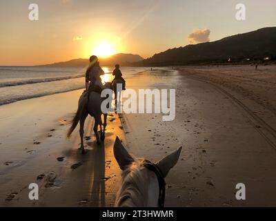 Frauen-Selfie, die am Strand auf einem Pferd reiten Stockfoto